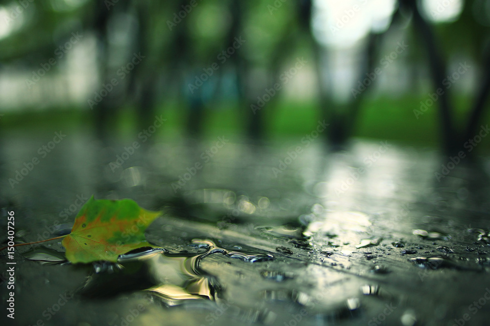 Fototapeta premium Water drops on the surface background