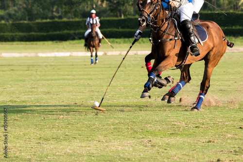 Action of polo player and horse. During the match