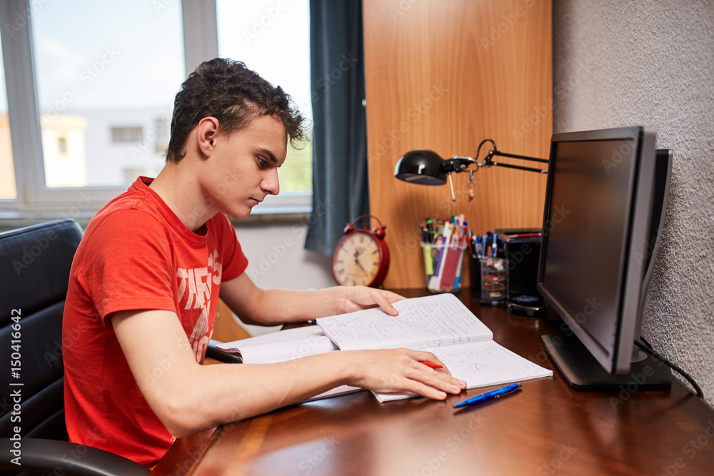 Teenage student doing homework Teenage student doing homework