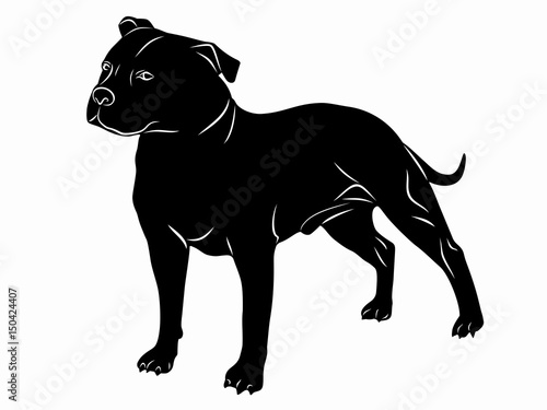 illustration of a dog  vector draw