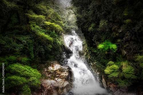 Tumbling Waters in Fiordland National Park