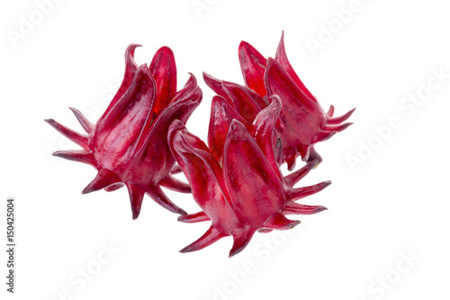 Roselle Hibiscus sabdariffa red fruit flower on white background