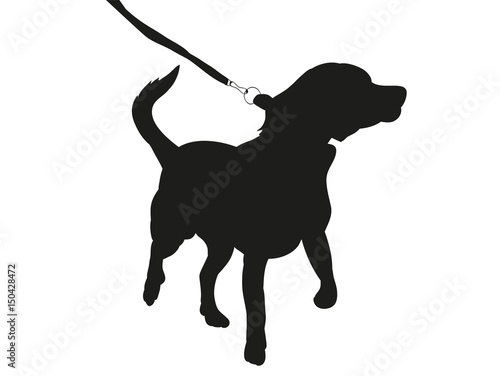 silhouette of a dog on a leash