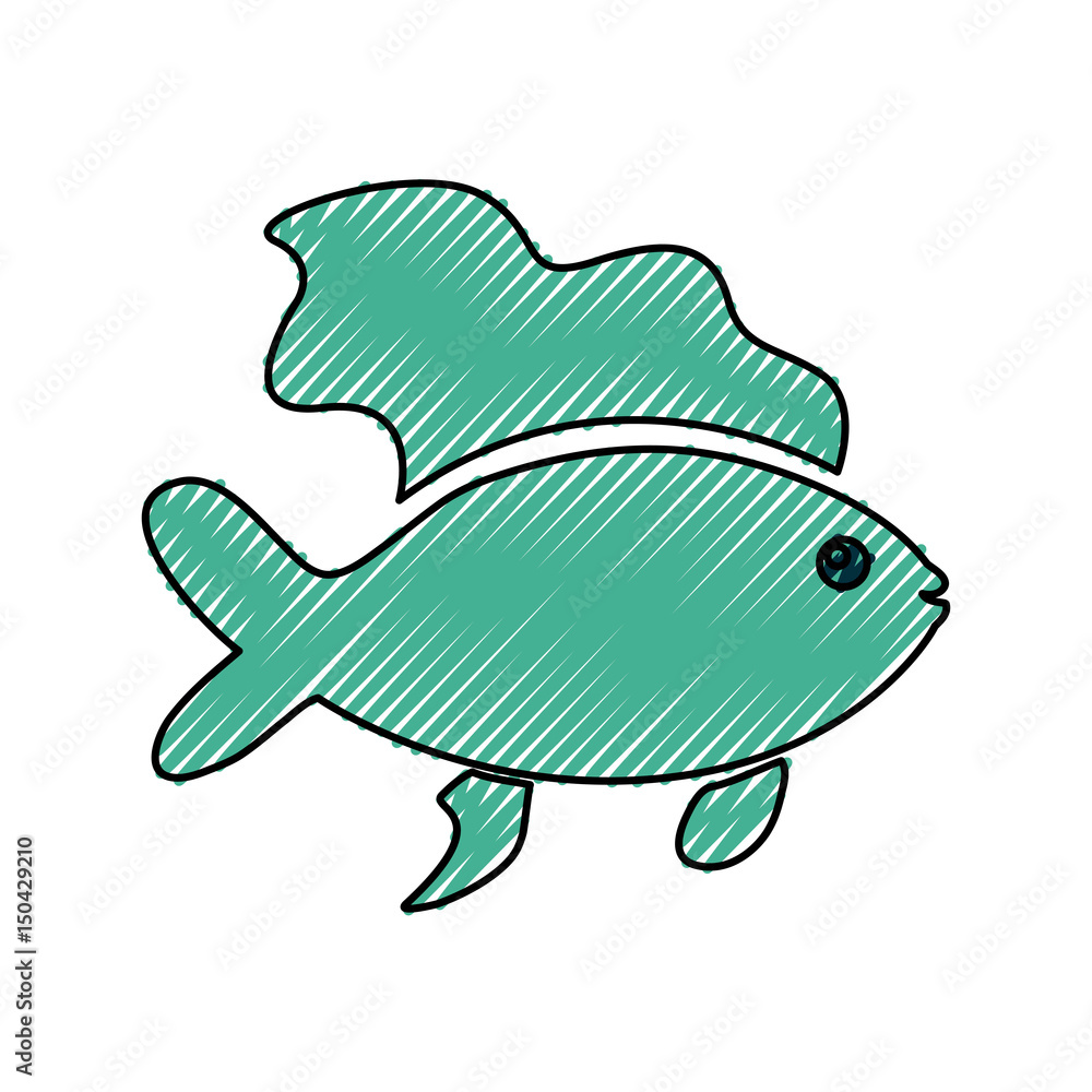 Fish sea animal icon vector illustration graphic design Fish sea animal icon vector illustration graphic design