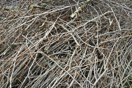 Bild auf Leinwand A big pile of sticks