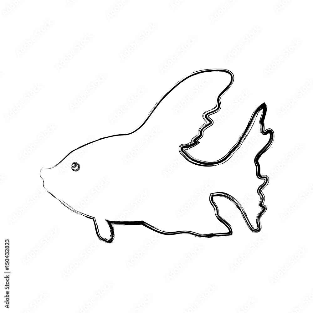 Fish sea animal icon vector illustration graphic design Fish sea animal icon vector illustration graphic design