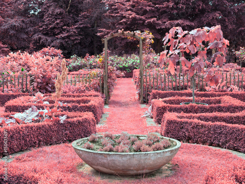 Foto Garden with Infrared Effect