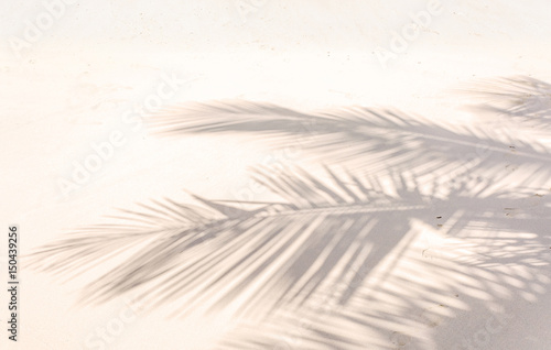 ombre de palmes sur plage de sable doré