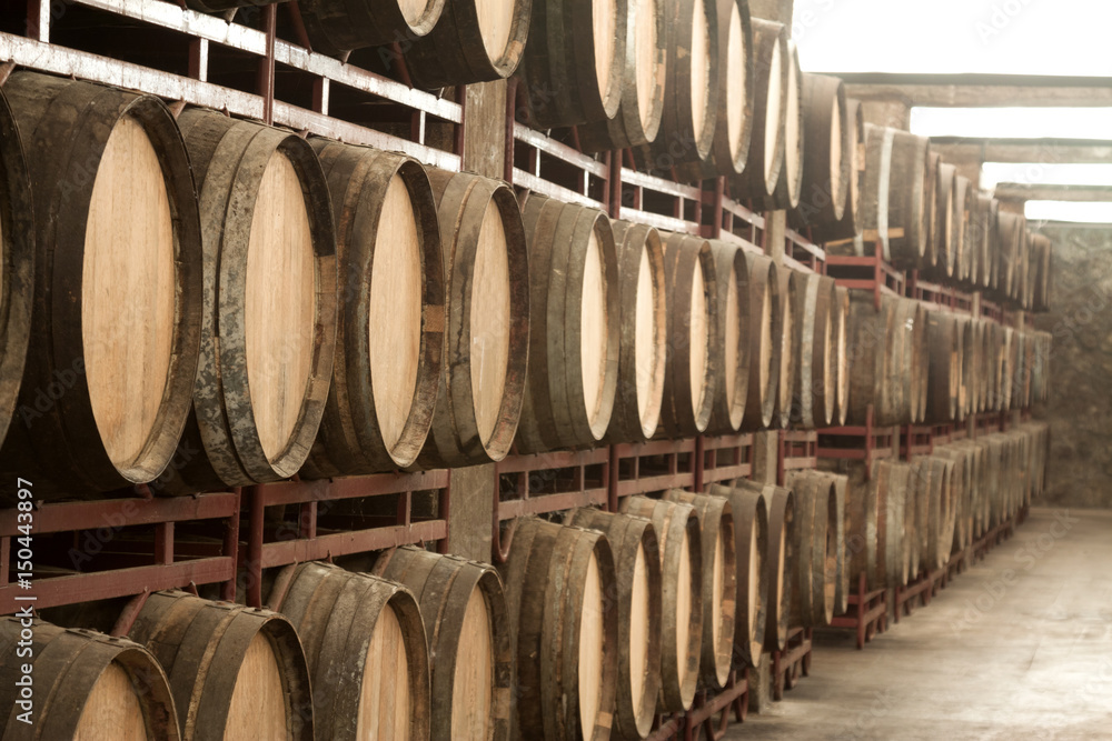 storage with row of wooden wine barrels storage with row of wooden wine barrels