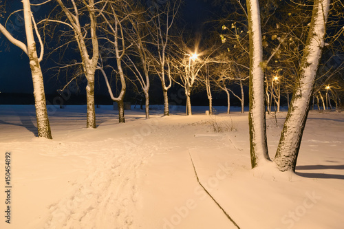 Snow covered path lit by street lights