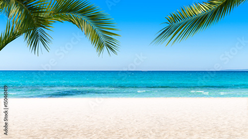 strandurlaub unter palmen