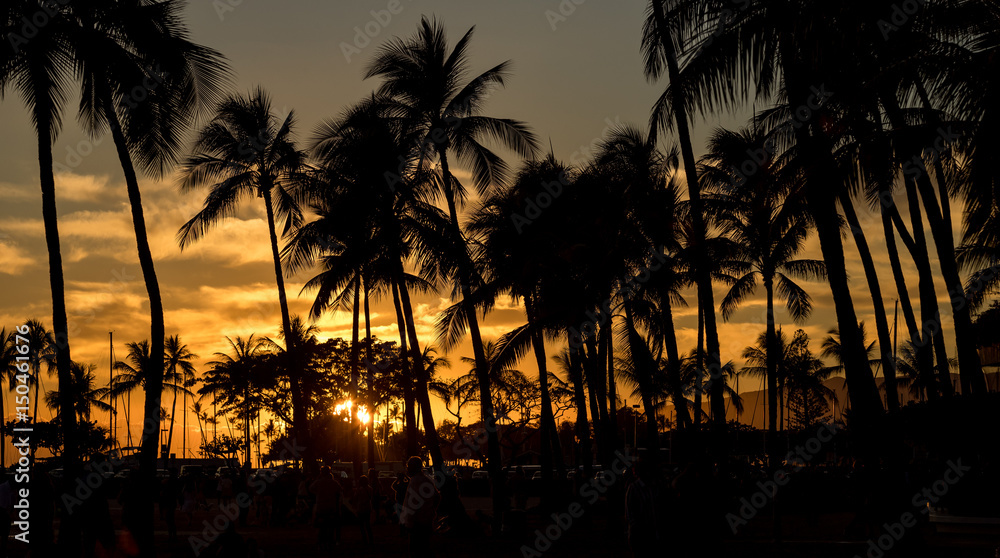Obraz premium Tropical sunset.
