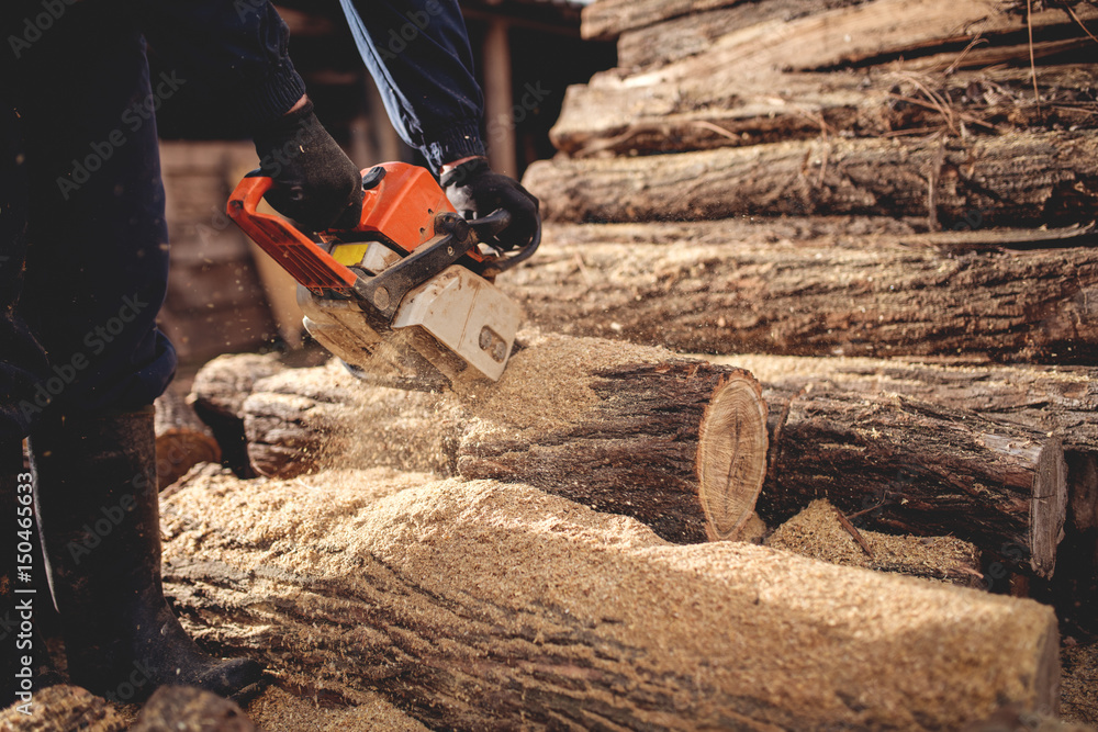 Cutting wood with chainsaw at backyard, lumberjack work profession. Cutting wood with chainsaw at backyard, lumberjack work profession.