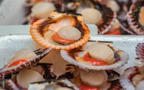 Zamburiñas frescas en mercado de Galicia