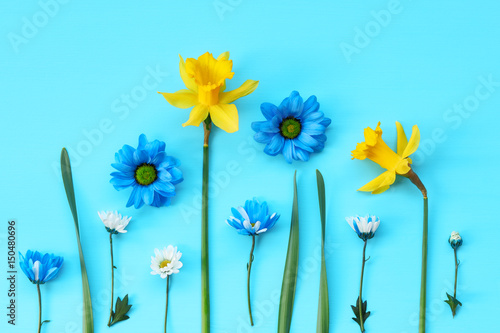 Yellow daffodils and colored daisies