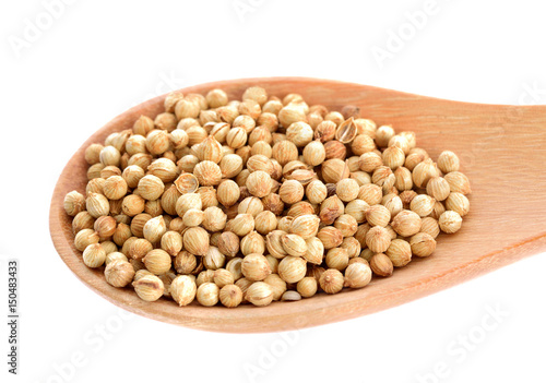 Coriander seeds in wood spoon  on white background