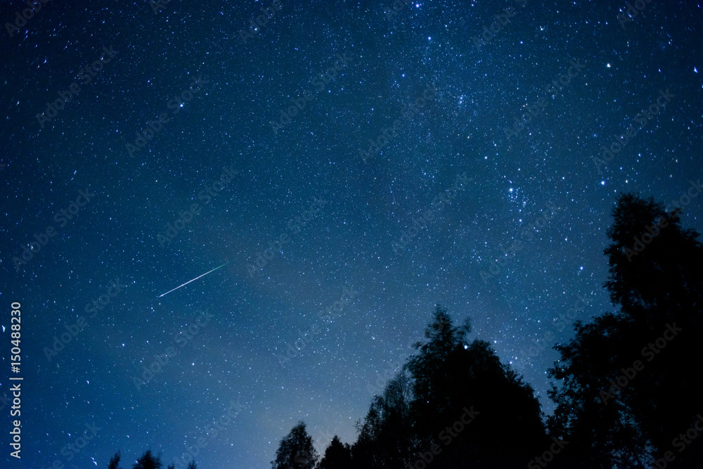 Perseid Meteor Shower in 2016 Perseid Meteor Shower in 2016