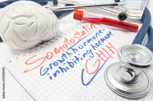 Notebook labeled Somatostatin growth hormone inhibiting hormone (SHIH) next to brain, stethoscope and laboratory blood test tube. Visualization of work, function and analysis of Somatostatin level  photo