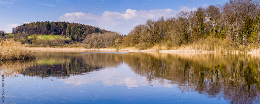 Teich panorama im Frühjahr Teich panorama im Frühjahr