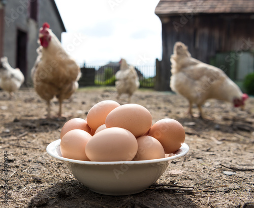 Fresh organic eggs in the plate