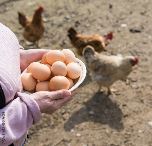 Woman farmer holding fresh organic eggs