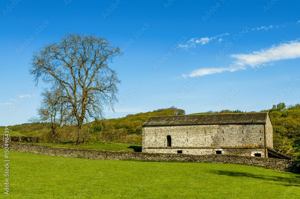 A barn and tree set in English countryside with a green field in the foreground and a wood beyond. A barn and tree set in English countryside with a green field in the foreground and a wood beyond.
