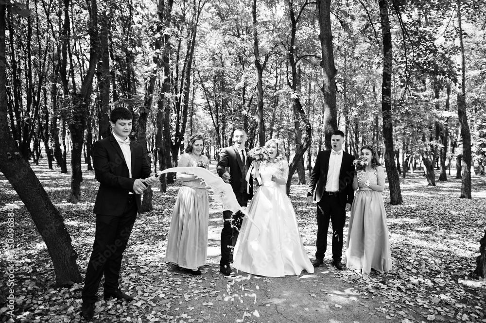 Wedding couple with bridesmaids on blue dresses and best mans having fun at wedding day. Wedding couple with bridesmaids on blue dresses and best mans having fun at wedding day.