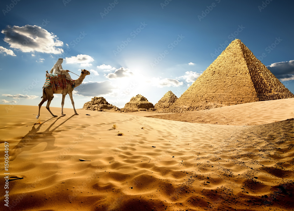 Naklejka premium W piaskach Egiptu