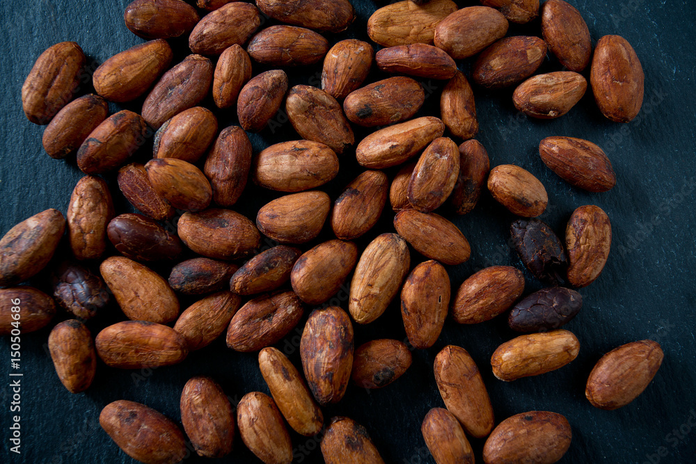 cocoa beans on chalkboard cocoa beans on chalkboard