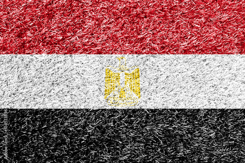 Egypt flag on grass background texture