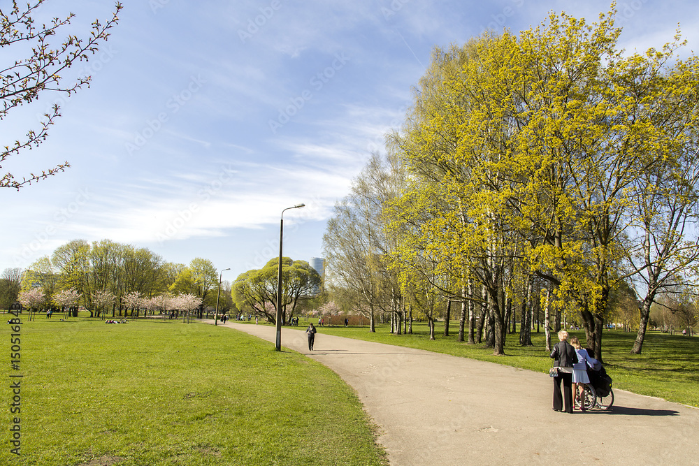 Obraz premium Spring mood. In the first warm days of spring, they go to the Park to relax and feel the breath of spring.