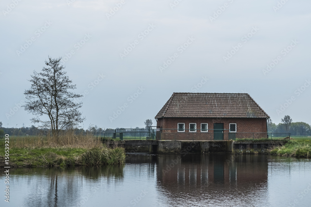 An der Hamme im Frühling