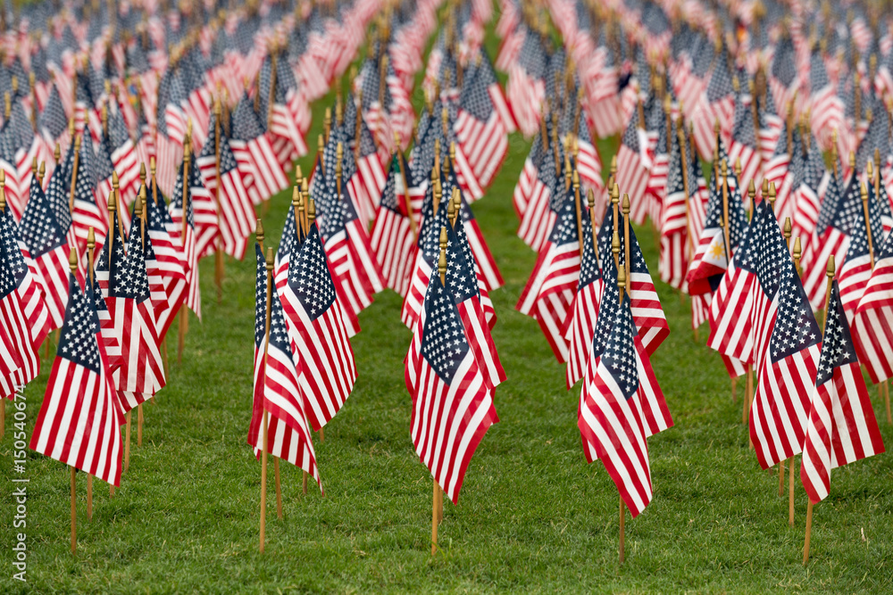 Rows of American flags on a green grass background with a shallow depth of field
