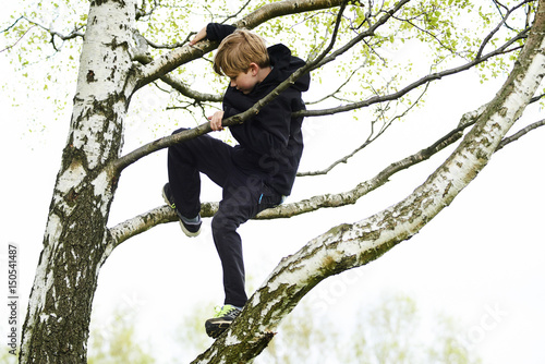 Young child blond boy climbing tree