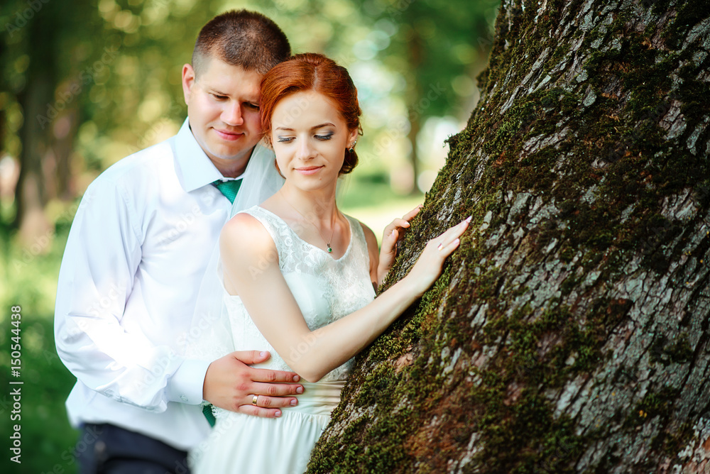 The bride and groom in the Park.A pair of newlyweds, the bride and groom at the wedding in the green forest nature kiss photo.Wedding Couple.Wedding walk The bride and groom in the Park.A pair of newlyweds, the bride and groom at the wedding in the green forest nature kiss photo.Wedding Couple.Wedding walk