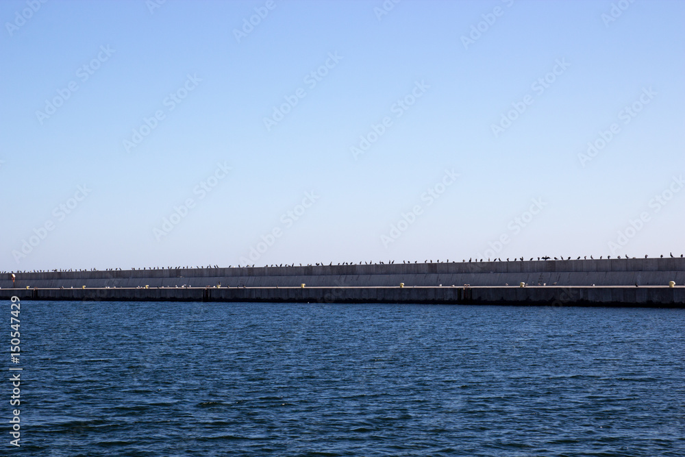 Concrete pier with many seagulls