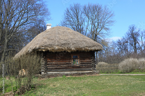 Hut with thatched roof