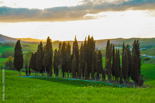 Landscape of tuscan countryside in spring