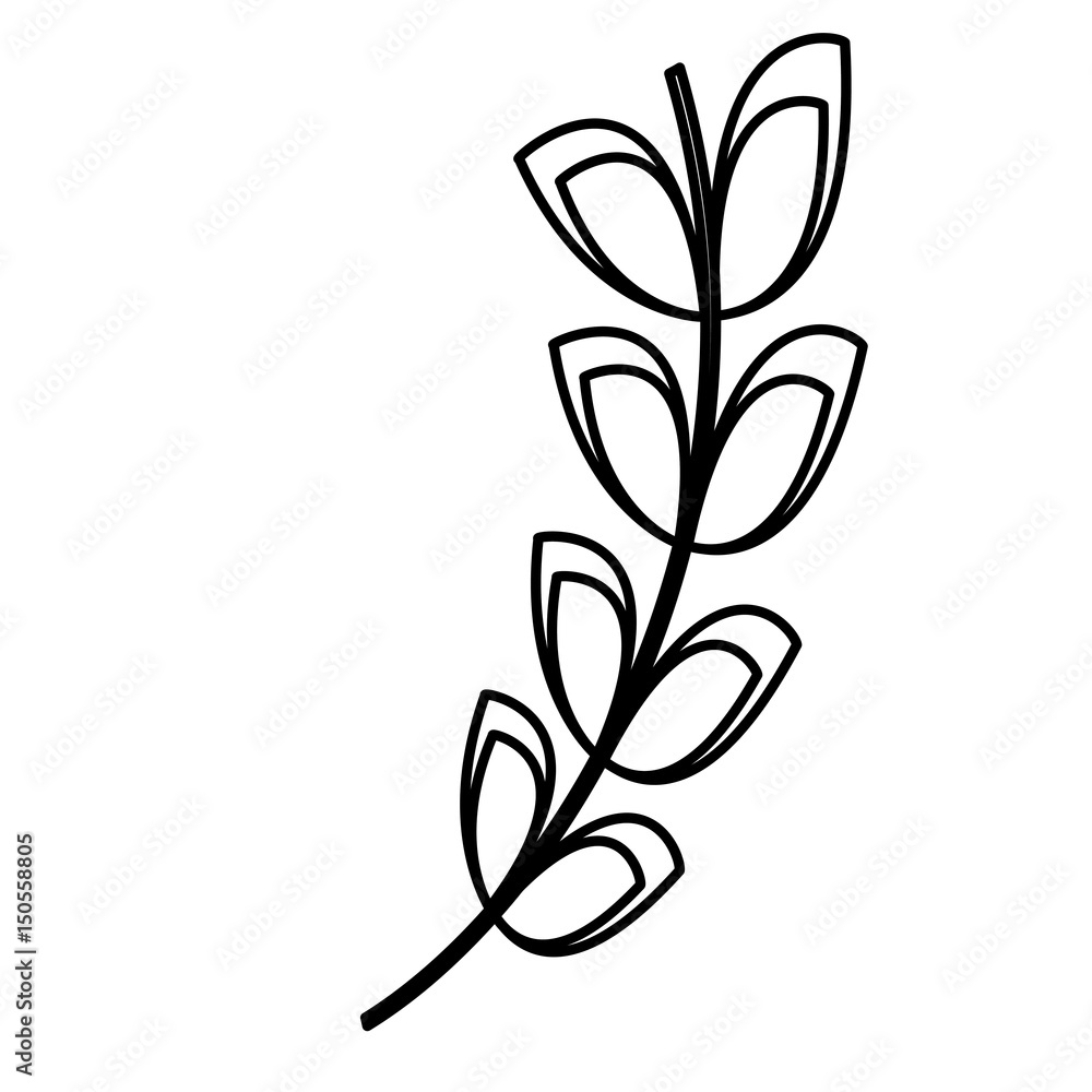 wheat ears icon over white background. vector illustration