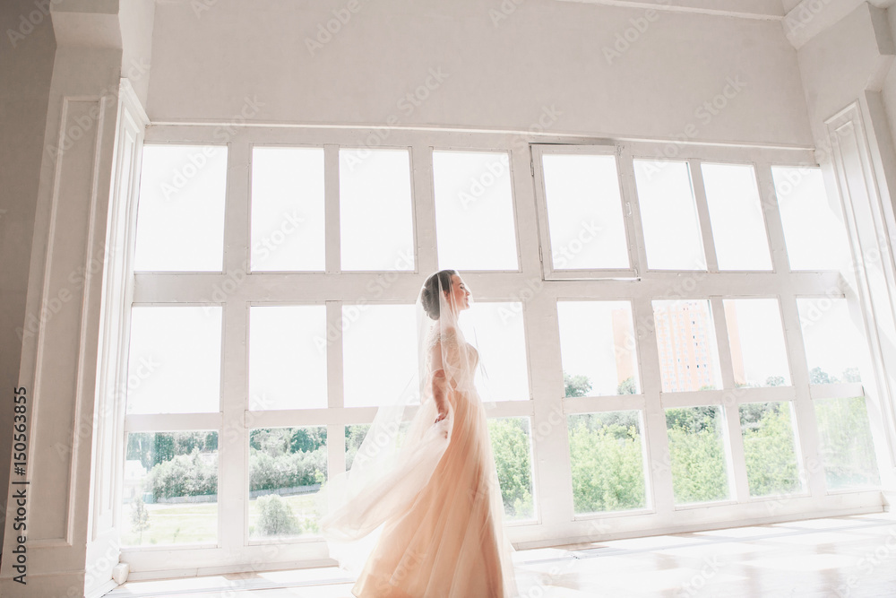 portrait of beautiful bride indoor. Fashion bride girl in gorgeous wedding dress in studio portrait of beautiful bride indoor. Fashion bride girl in gorgeous wedding dress in studio