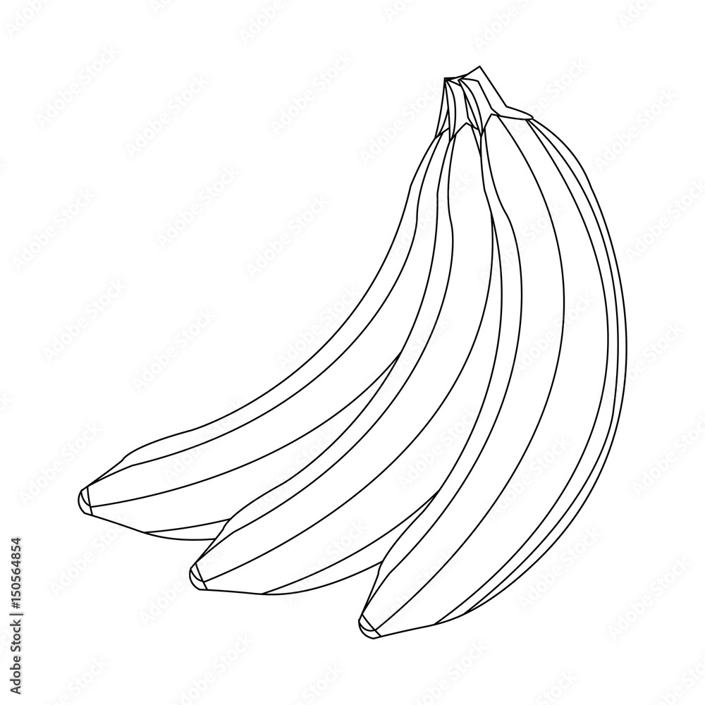 banana fruit delicious nutrition image outline vector illustration banana fruit delicious nutrition image outline vector illustration