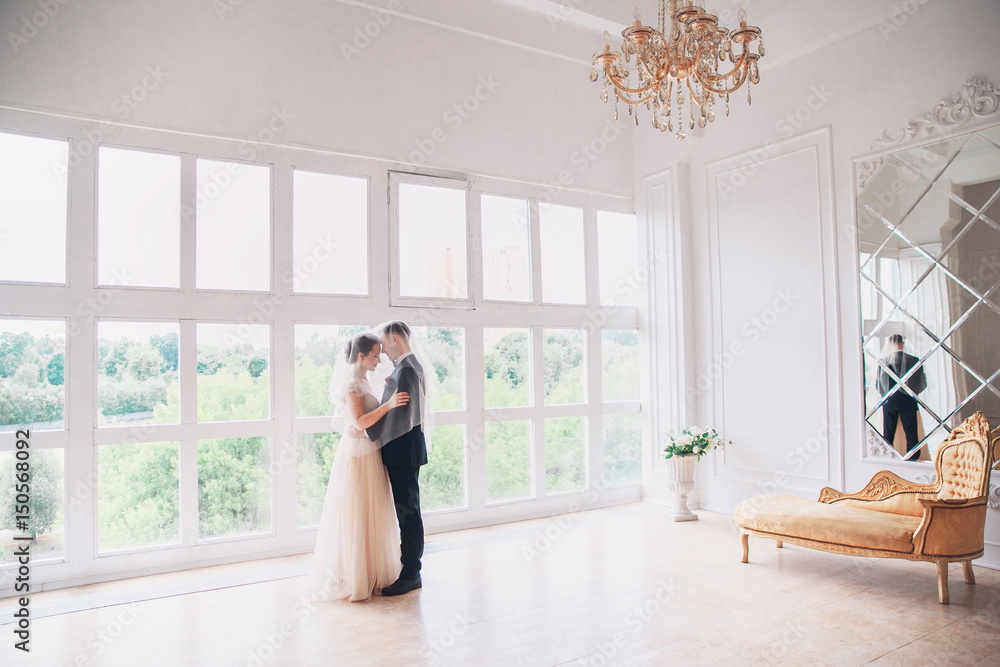 .Beautiful bride and groom portrait with veil over face. Stylish Loving wedding couple kissing and hugging .Beautiful bride and groom portrait with veil over face. Stylish Loving wedding couple kissing and hugging