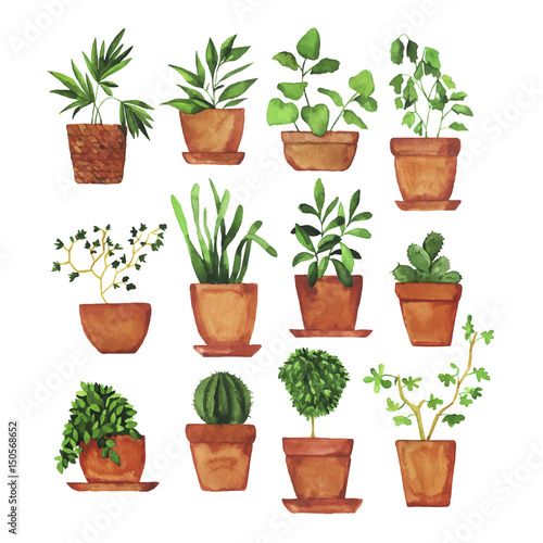 Set of doodle home plants painted by watercolor. Hand drawn illustration.