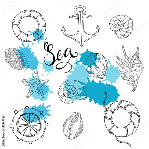 Set of seashells, handwheel, anchor and lifebuoys on white background with blue backdrops. Hand lettering. Hand drawn vector illustration.