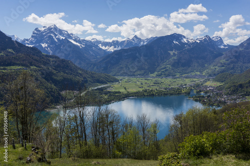 Alpenpanorama mit See im Fr  hling