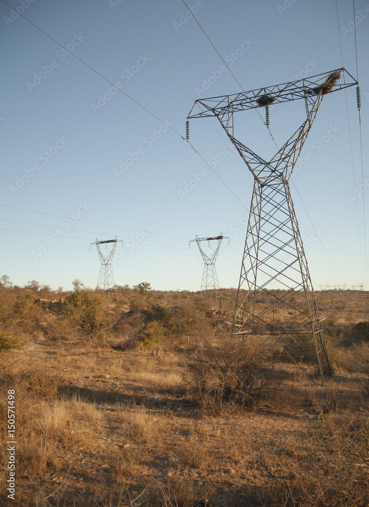 Electrical power lines, South Africa