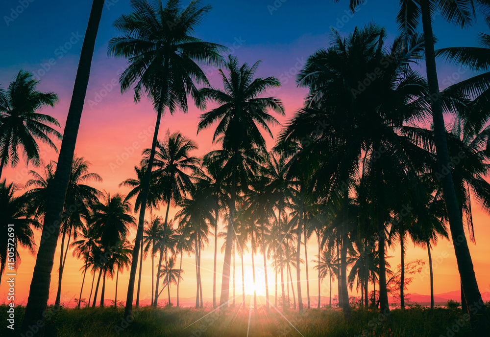 Silhouette coconut palm trees on beach at sunset. Vintage tone. Silhouette coconut palm trees on beach at sunset. Vintage tone.