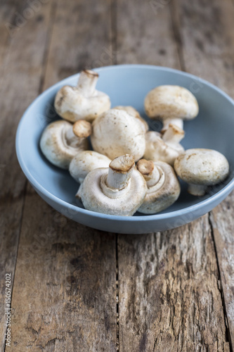 Fresh champignon mushrooms