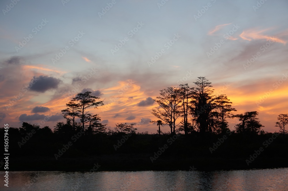 sunset silhouette in the cypress swamp