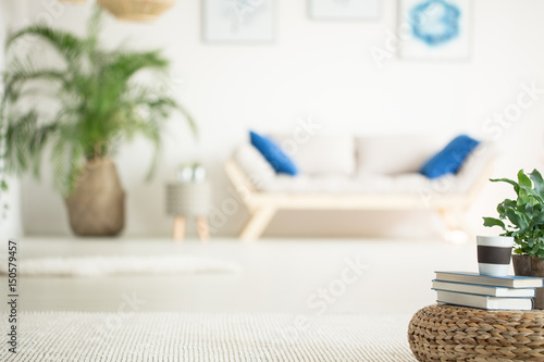 Stylish, white apartment with sofa